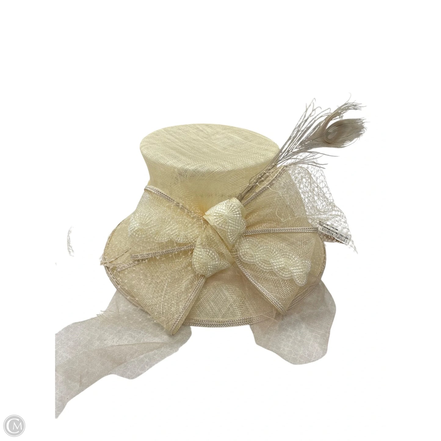 Hat Floppy By Clothes Mentor