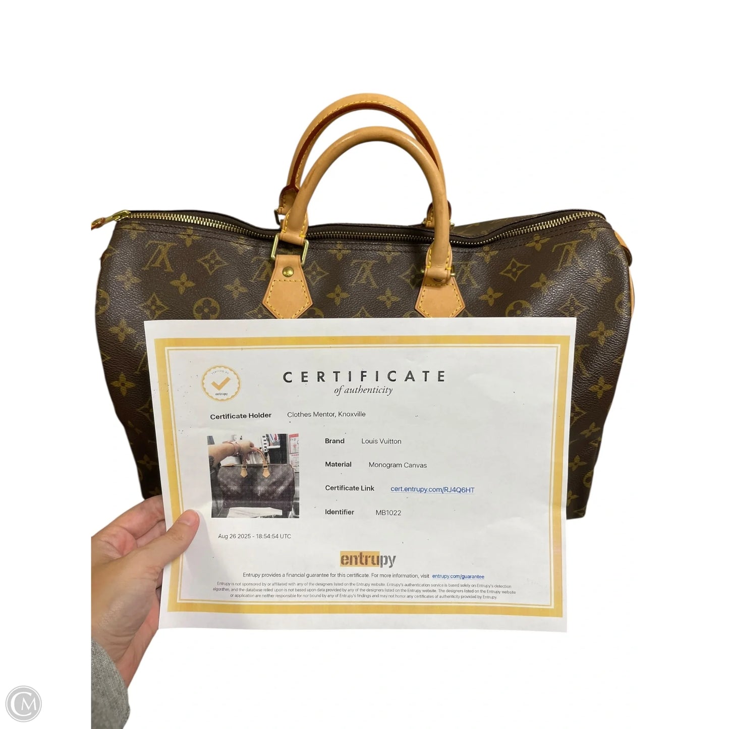 Handbag Luxury Designer By Louis Vuitton, Size: Medium