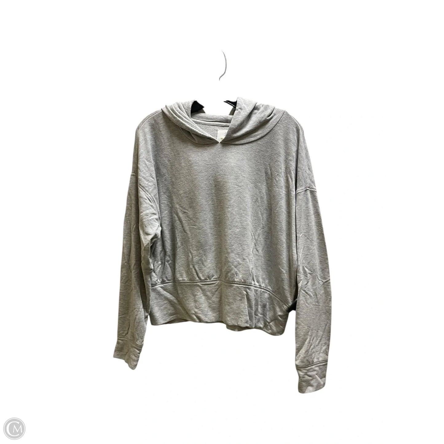Sweatshirt Hoodie By Offline By Aerie In Grey, Size: M