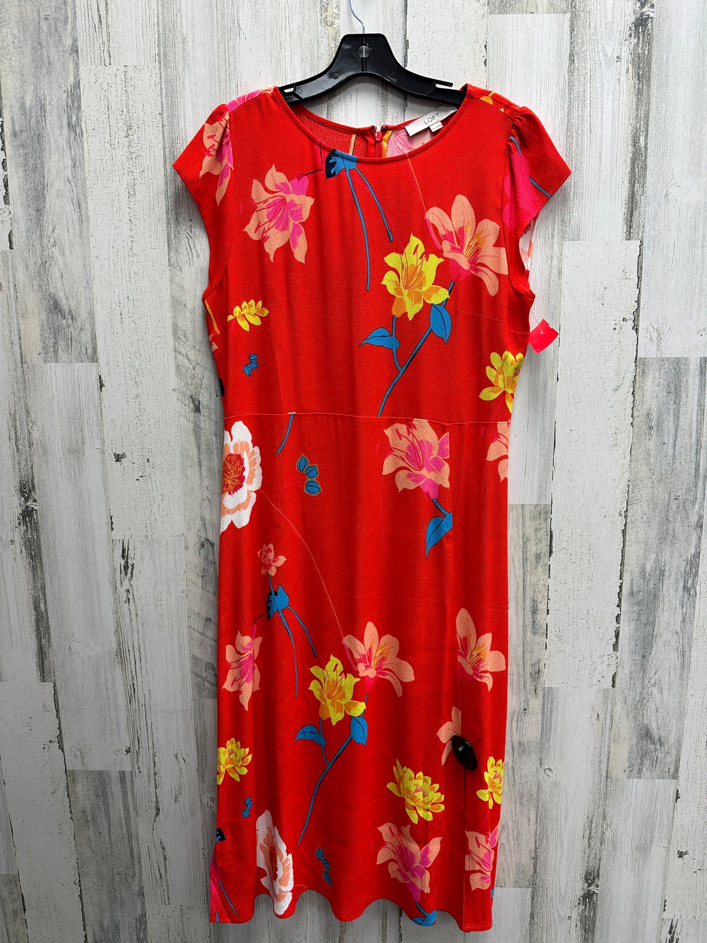 Dress Casual Short By Loft Size: M