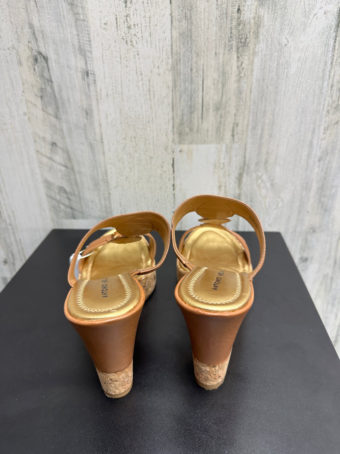 Sandals Heels Wedge By Antonio Melani Size: 10