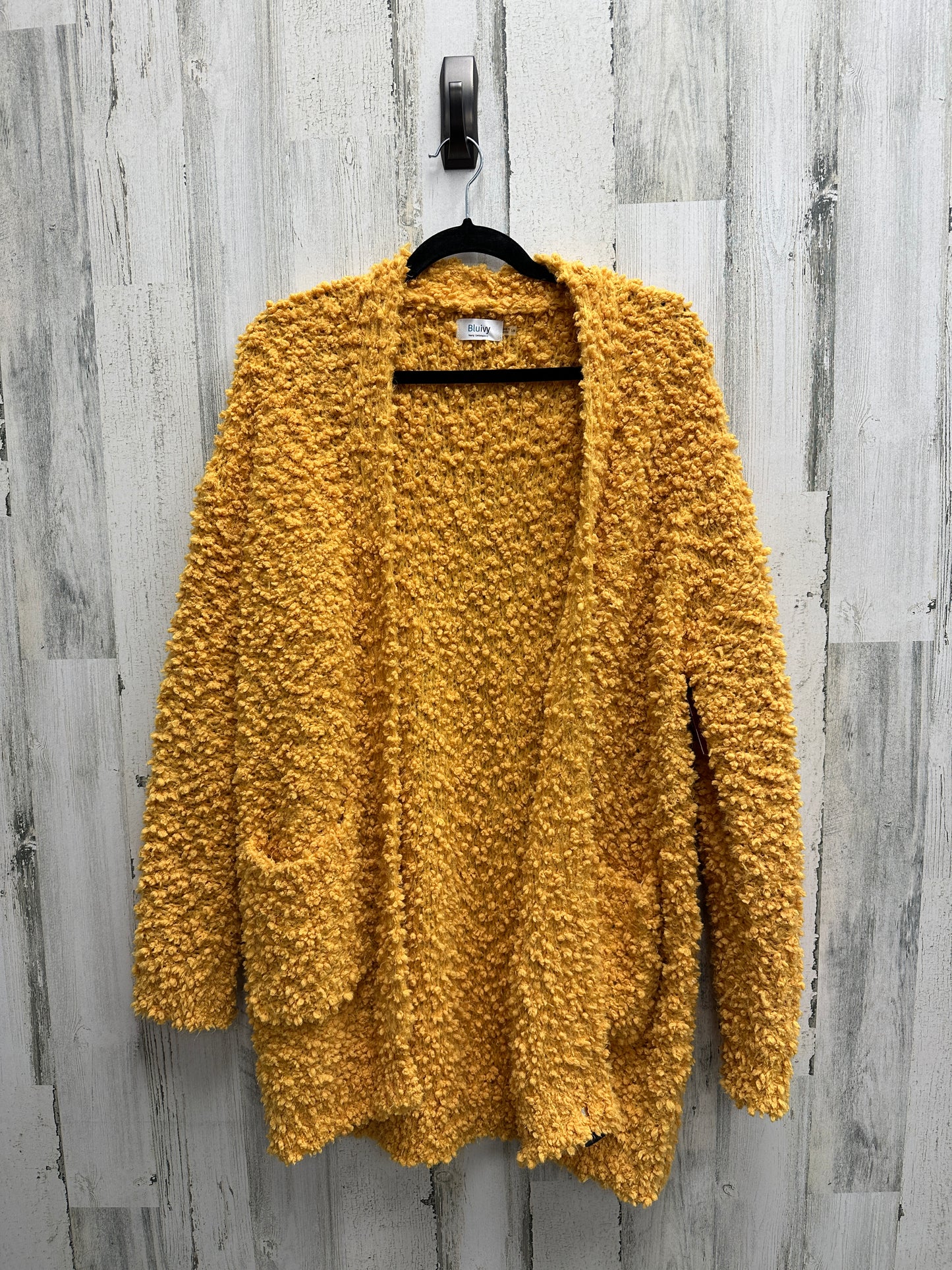Sweater Cardigan By Clothes Mentor Size: M