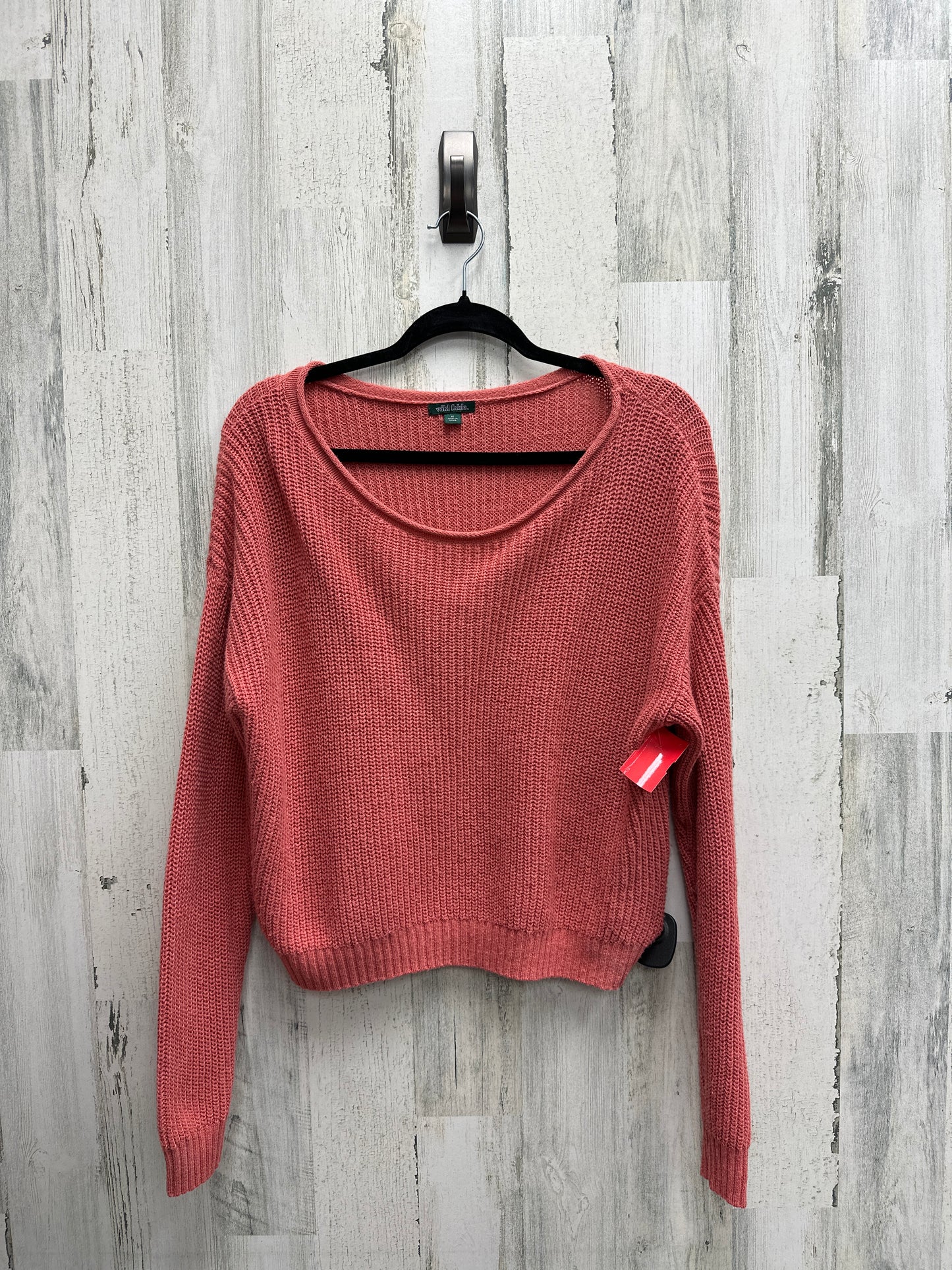Sweater By Wild Fable Size: M