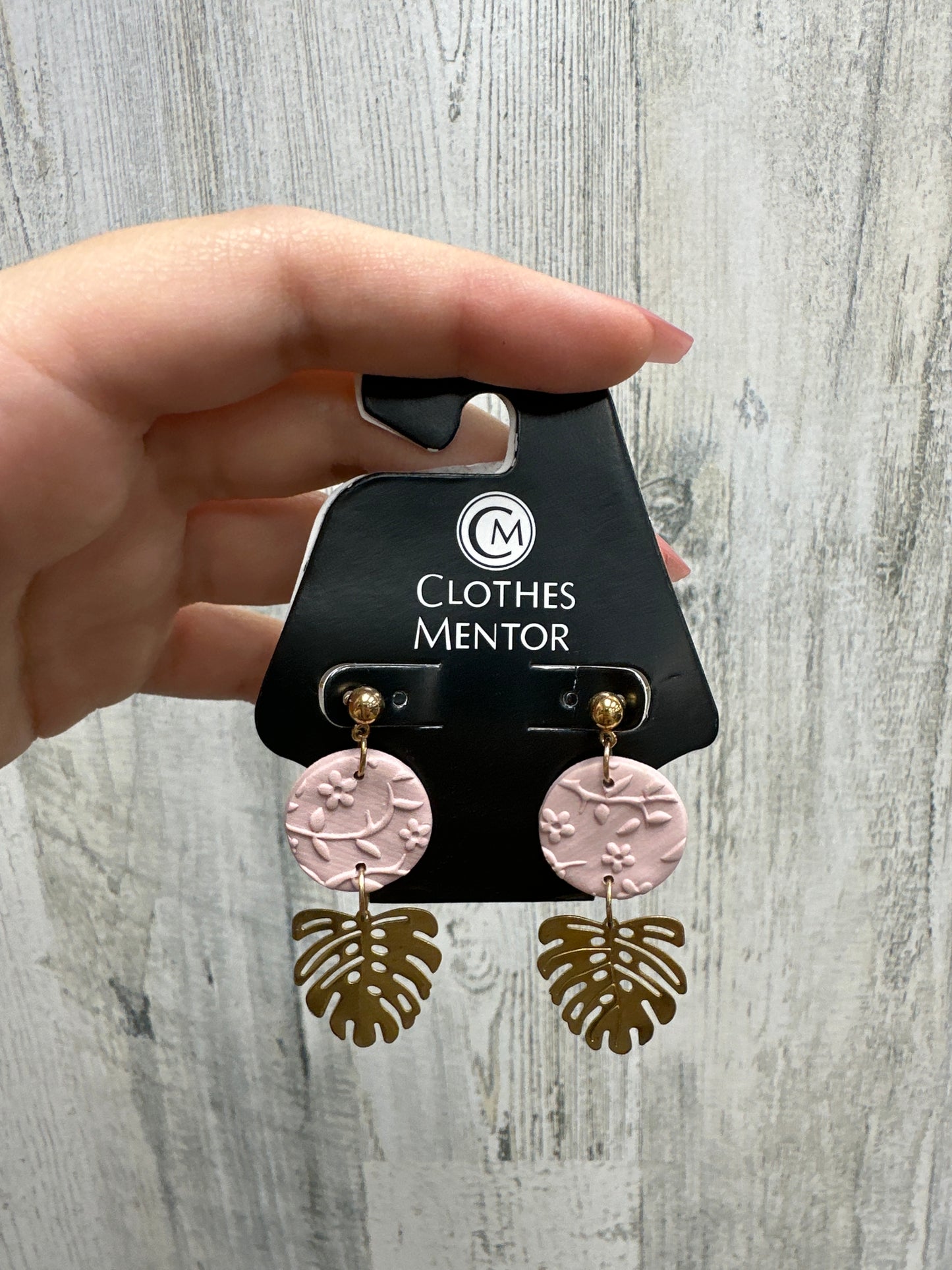 Earrings Dangle/drop By Clothes Mentor