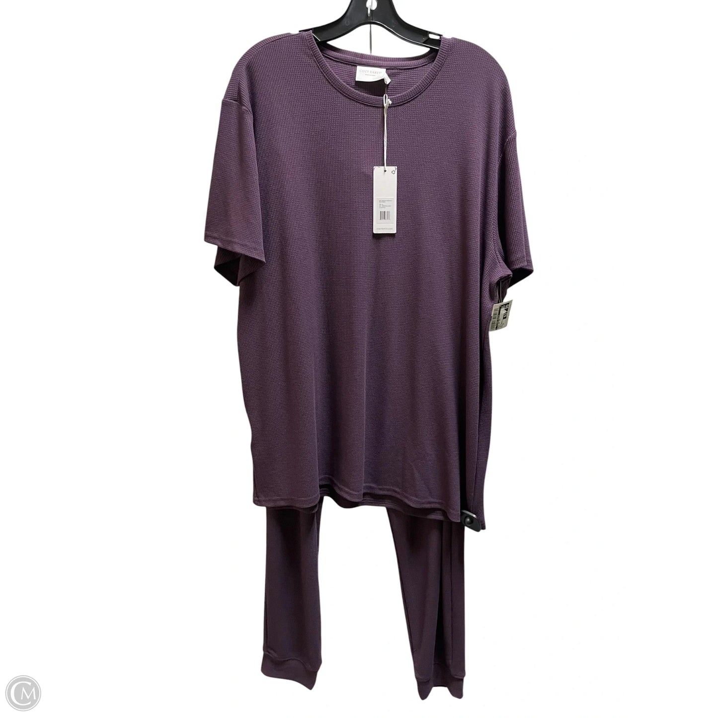 Pants Set 2pc By Clothes Mentor In Purple, Size: Xl