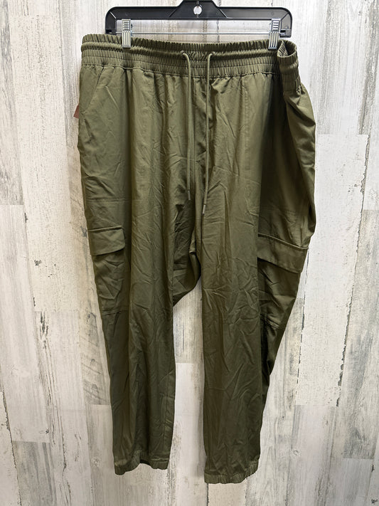 Pants Cargo & Utility By Clothes Mentor  Size: 1x