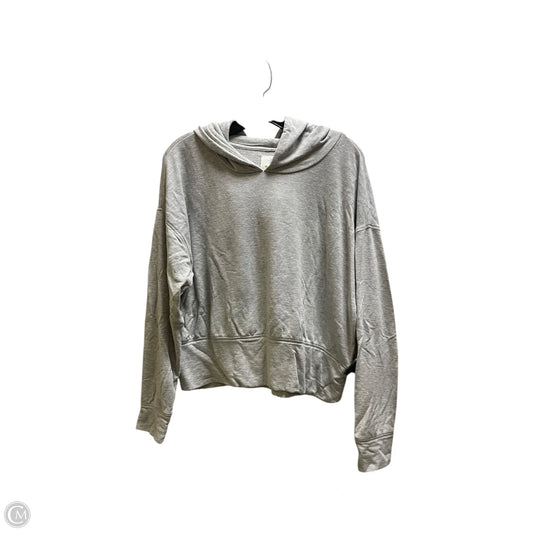 Sweatshirt Hoodie By Offline By Aerie In Grey, Size: M